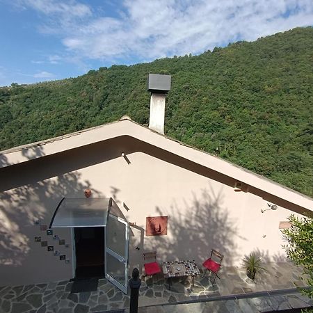 Campodonico  Tottavilla Affittacamere מראה חיצוני תמונה